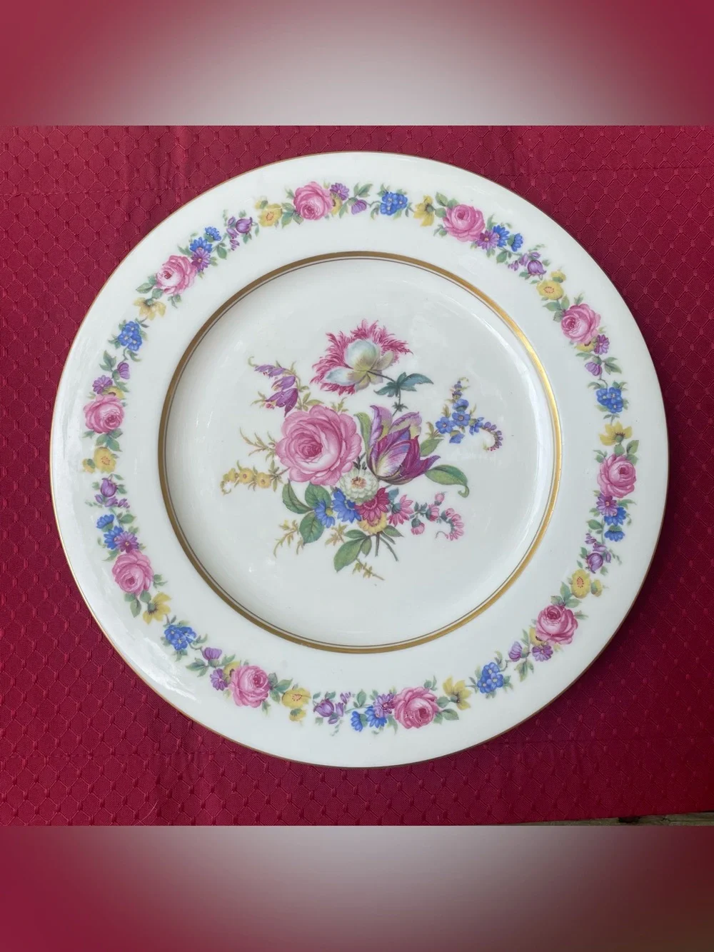 Castleton China Castleton Manor Dinner Plate Vintage